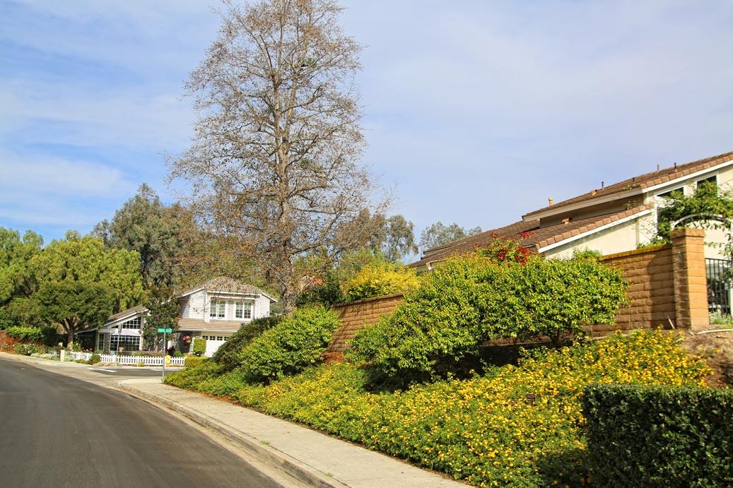 Work Image